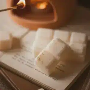 Meleri & Maple Autumn Winter Wax Melts