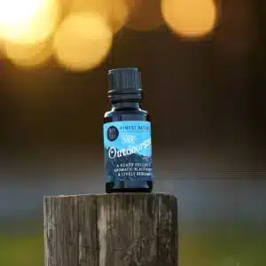The Outdoorsman Beard Oil - Paper Plane